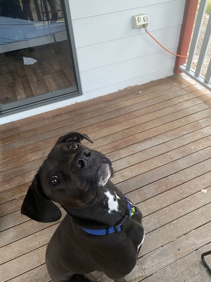 Waiting For The Chip To Fall!