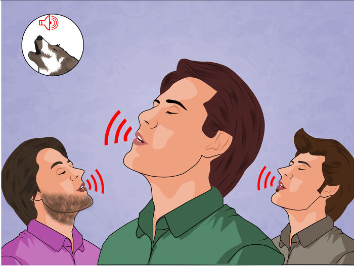 This One Was Entitled: How To Howl Like A Wolf. Why.