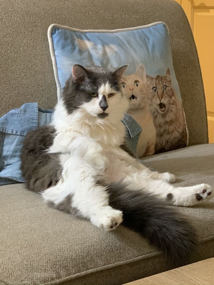 This Is Starfish, Lost In His Thoughts