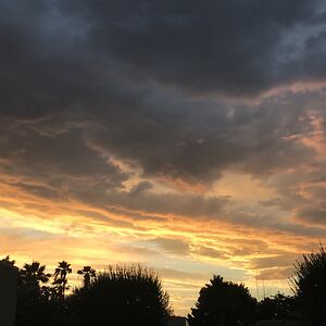 charminglyblue avatar