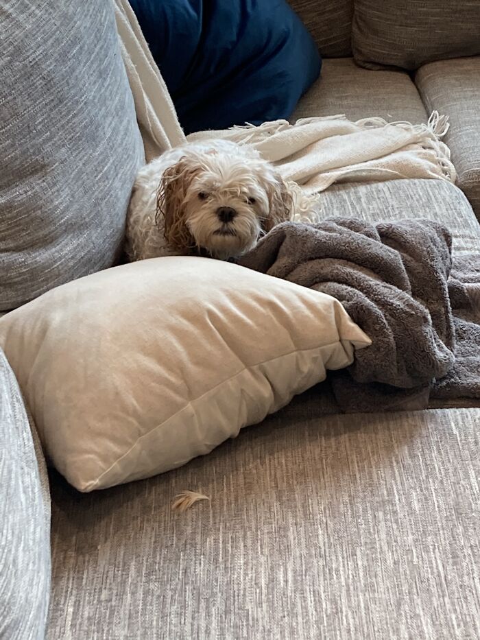 She Did Not Like That Bath