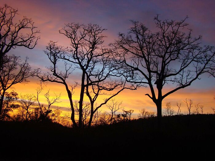 My All Time Favourite, Shot As The Sun Set And We Drove Through A National Park.