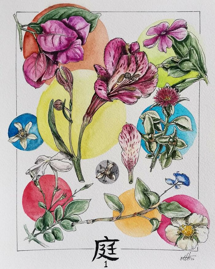 Flowers From My Garden. Watercolour And Ink.