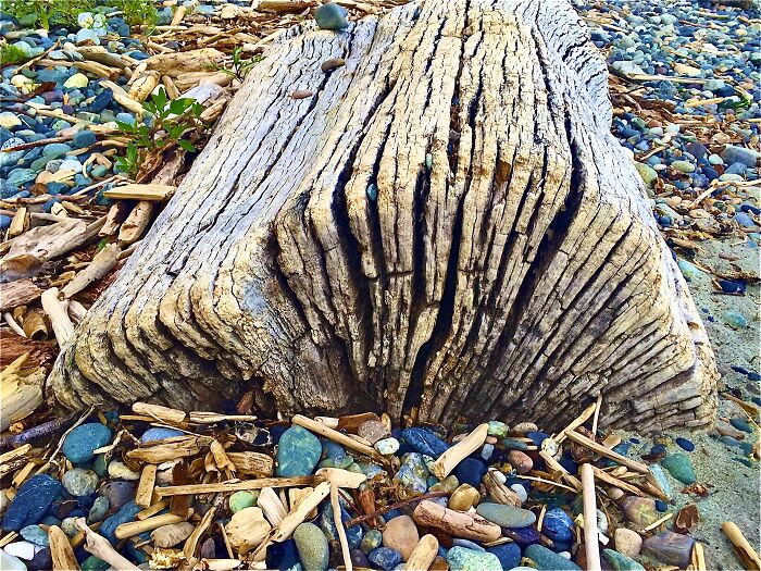 West Coast Beach Book, Blue Filter