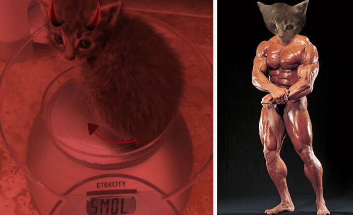 I Did Two. Not Photoshop But Still