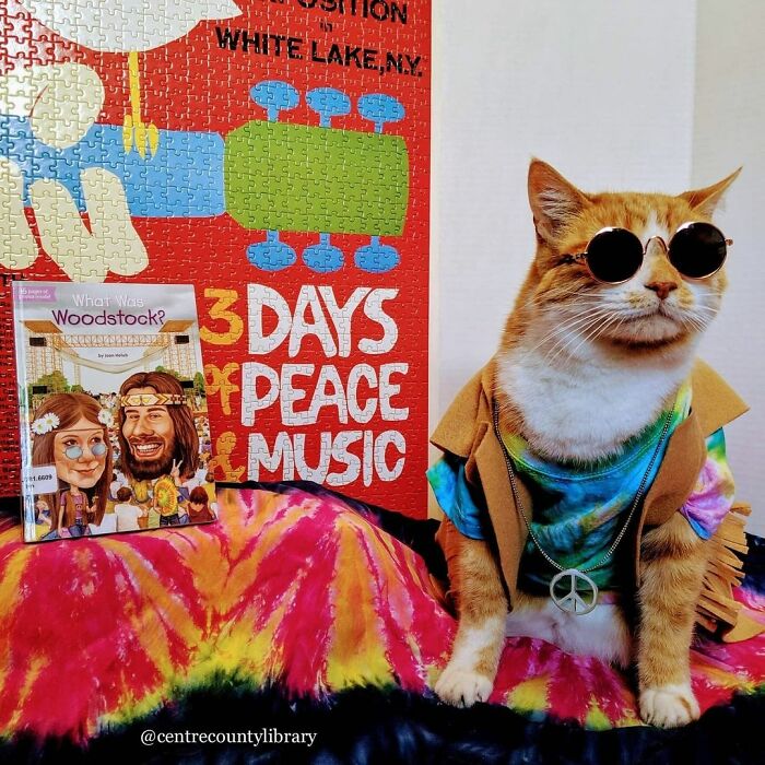 For 4 Years, Every Week, This Cat Becomes An Iconic Figure To Promote The Library (231 Pics)