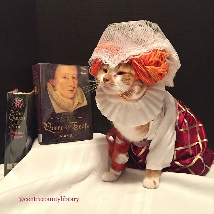 For 4 Years, Every Week, This Cat Becomes An Iconic Figure To Promote The Library (231 Pics)