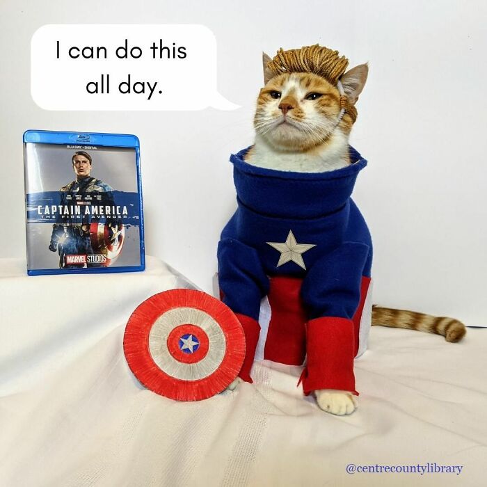 For 4 Years, Every Week, This Cat Becomes An Iconic Figure To Promote The Library (231 Pics)