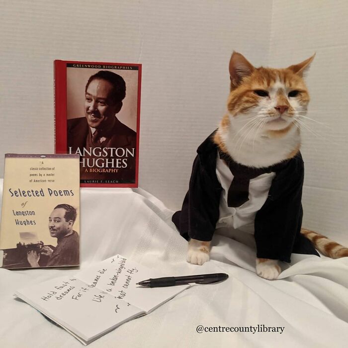 For 4 Years, Every Week, This Cat Becomes An Iconic Figure To Promote The Library (231 Pics)