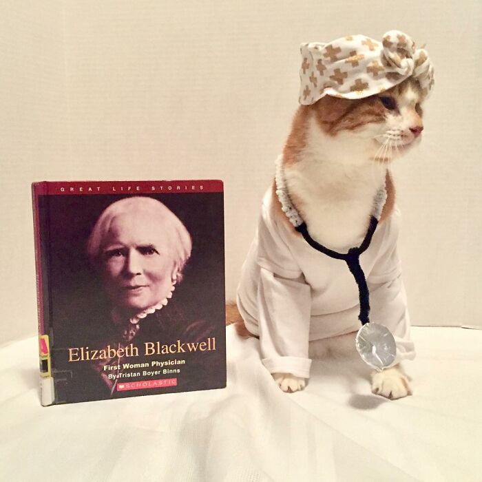 For 4 Years, Every Week, This Cat Becomes An Iconic Figure To Promote The Library (231 Pics)