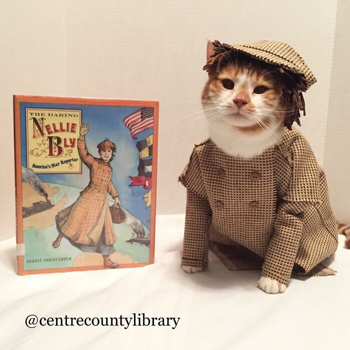For 4 Years, Every Week, This Cat Becomes An Iconic Figure To Promote The Library (231 Pics)