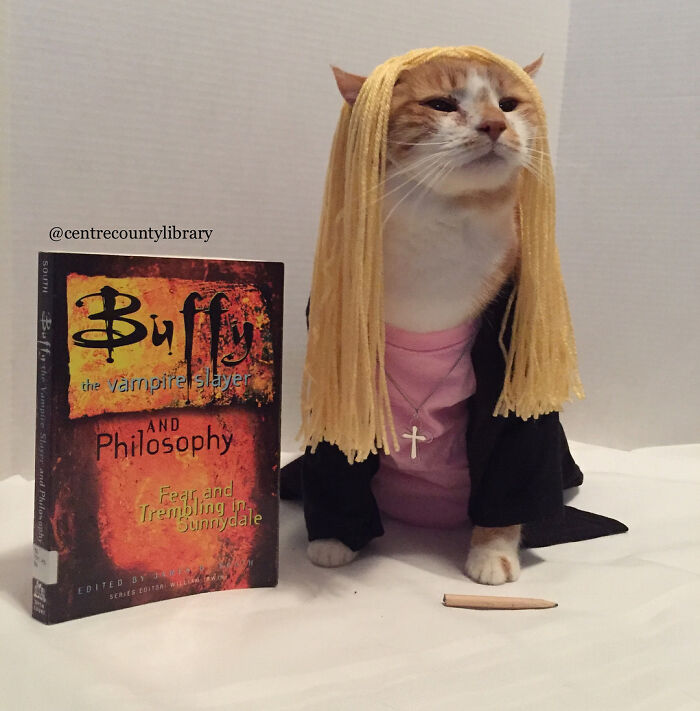 For 4 Years, Every Week, This Cat Becomes An Iconic Figure To Promote The Library (231 Pics)