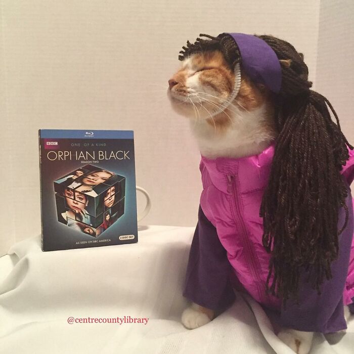 For 4 Years, Every Week, This Cat Becomes An Iconic Figure To Promote The Library (231 Pics)