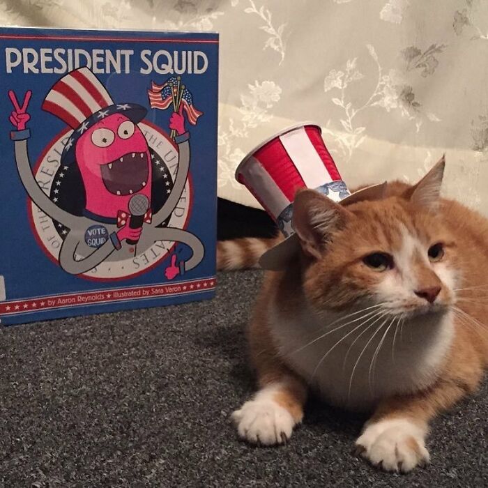 For 4 Years, Every Week, This Cat Becomes An Iconic Figure To Promote The Library (231 Pics)