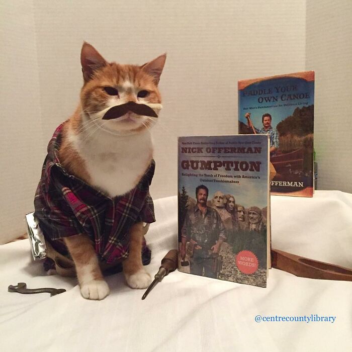 For 4 Years, Every Week, This Cat Becomes An Iconic Figure To Promote The Library (231 Pics)