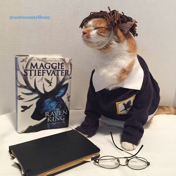 For 4 Years, Every Week, This Cat Becomes An Iconic Figure To Promote The Library (231 Pics)