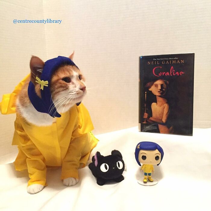 For 4 Years, Every Week, This Cat Becomes An Iconic Figure To Promote The Library (231 Pics)