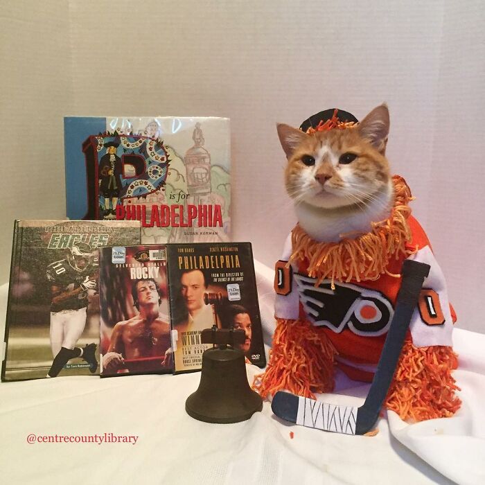 For 4 Years, Every Week, This Cat Becomes An Iconic Figure To Promote The Library (231 Pics)