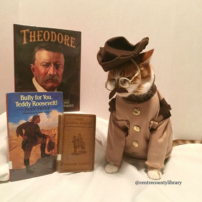 For 4 Years, Every Week, This Cat Becomes An Iconic Figure To Promote The Library (231 Pics)