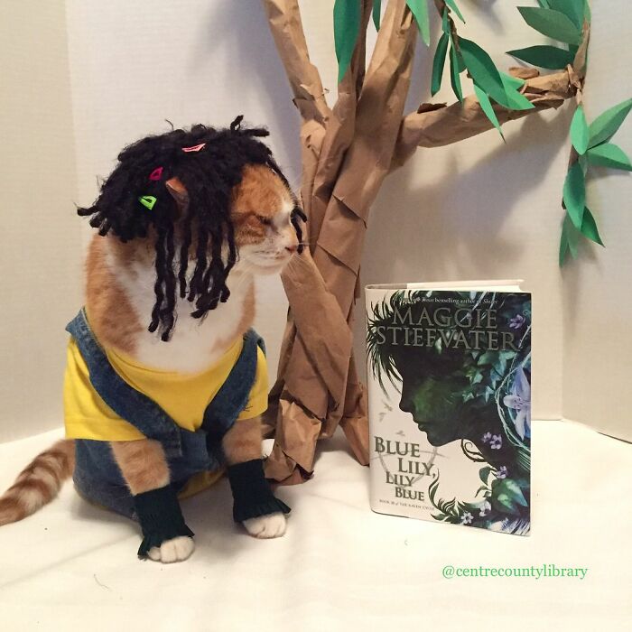 For 4 Years, Every Week, This Cat Becomes An Iconic Figure To Promote The Library (231 Pics)