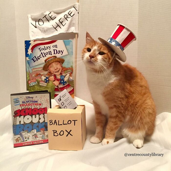 For 4 Years, Every Week, This Cat Becomes An Iconic Figure To Promote The Library (231 Pics)