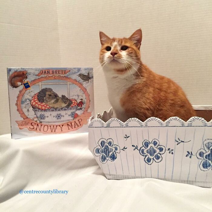 For 4 Years, Every Week, This Cat Becomes An Iconic Figure To Promote The Library (231 Pics)