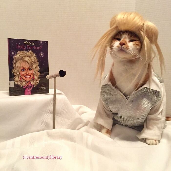 For 4 Years, Every Week, This Cat Becomes An Iconic Figure To Promote The Library (231 Pics)