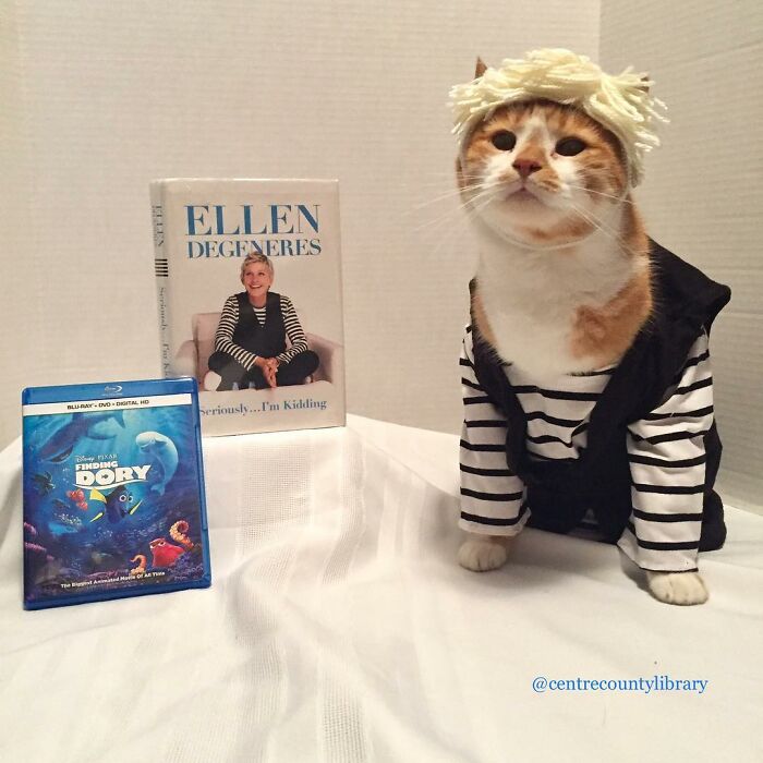 For 4 Years, Every Week, This Cat Becomes An Iconic Figure To Promote The Library (231 Pics)