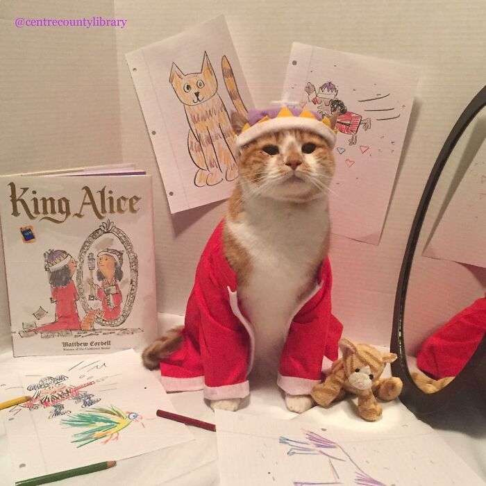 For 4 Years, Every Week, This Cat Becomes An Iconic Figure To Promote The Library (231 Pics)