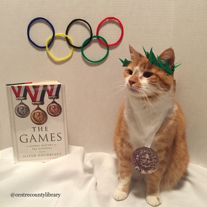 For 4 Years, Every Week, This Cat Becomes An Iconic Figure To Promote The Library (231 Pics)