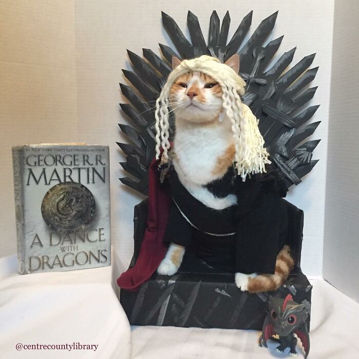 For 4 Years, Every Week, This Cat Becomes An Iconic Figure To Promote The Library (231 Pics)