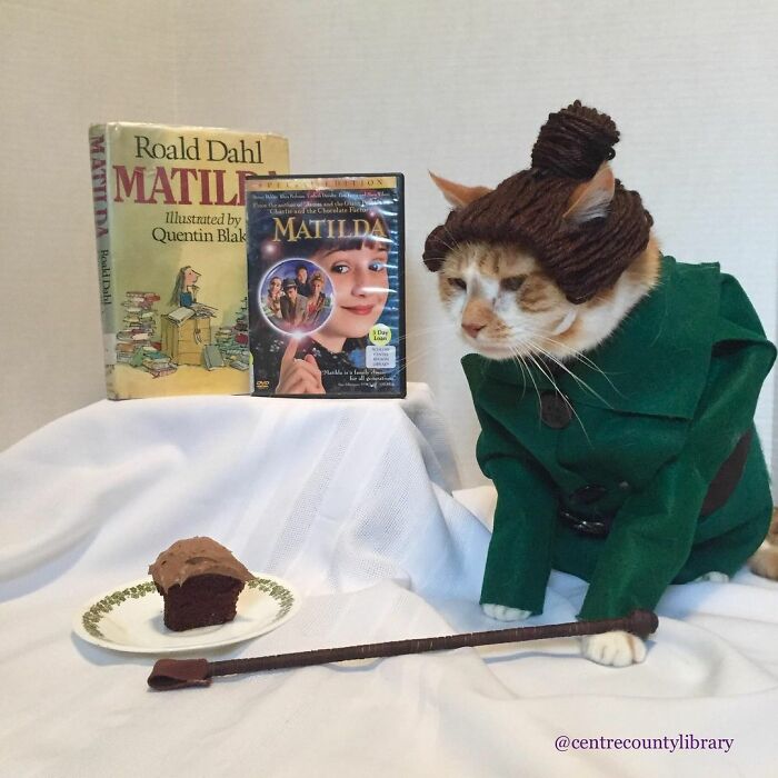 For 4 Years, Every Week, This Cat Becomes An Iconic Figure To Promote The Library (231 Pics)