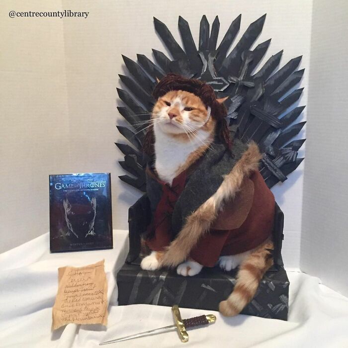 For 4 Years, Every Week, This Cat Becomes An Iconic Figure To Promote The Library (231 Pics)