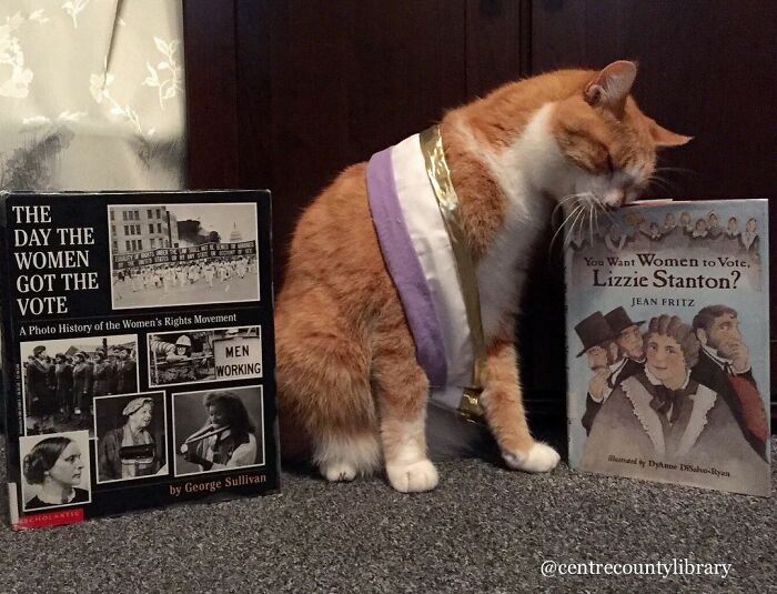 For 4 Years, Every Week, This Cat Becomes An Iconic Figure To Promote The Library (231 Pics)