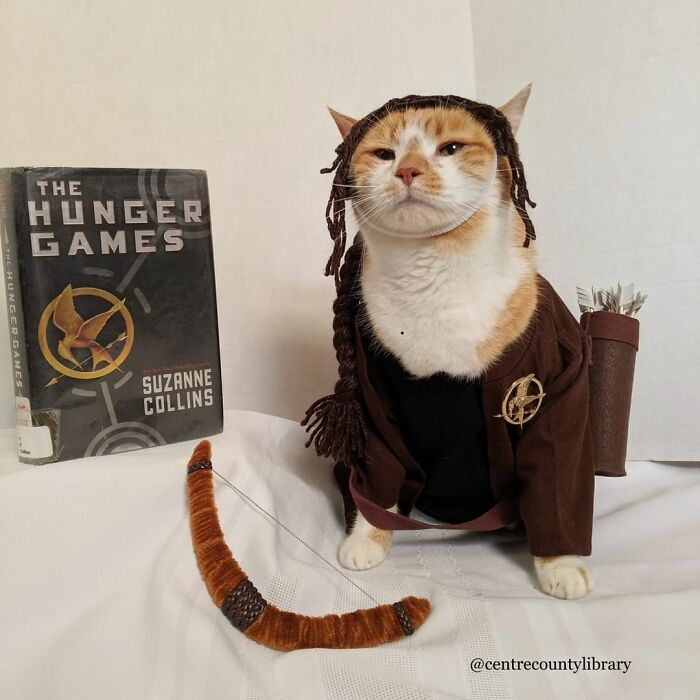 For 4 Years, Every Week, This Cat Becomes An Iconic Figure To Promote The Library (231 Pics)