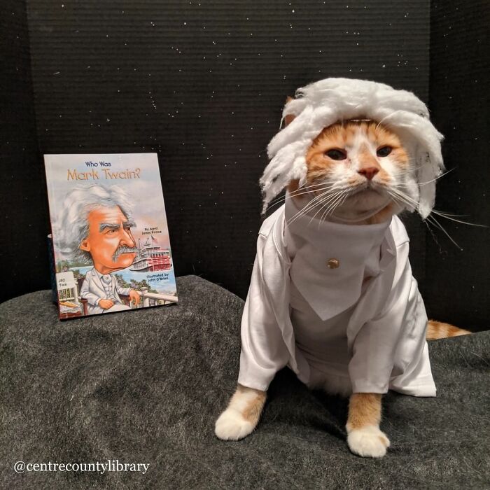 For 4 Years, Every Week, This Cat Becomes An Iconic Figure To Promote The Library (231 Pics)