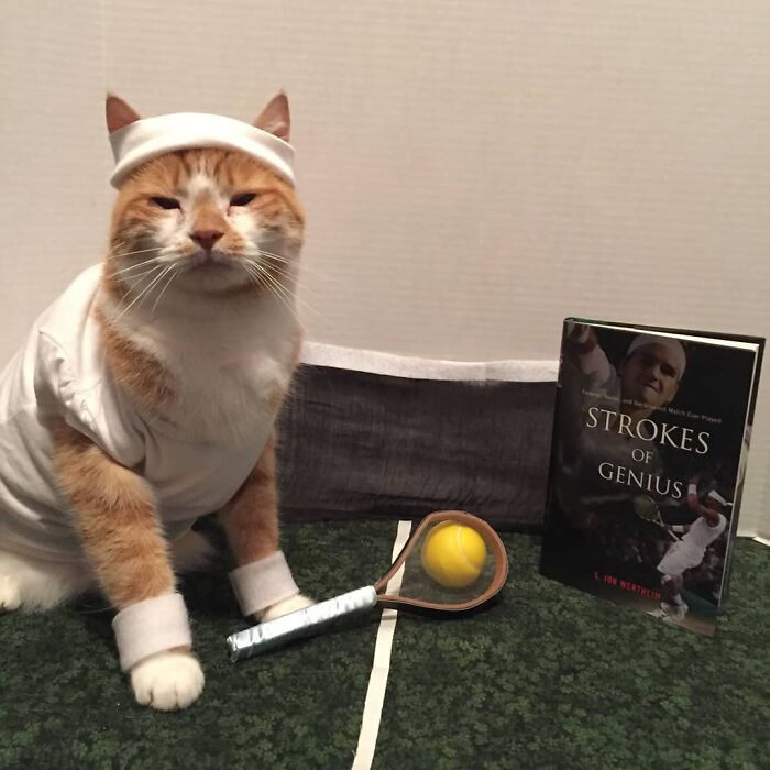 For 4 Years, Every Week, This Cat Becomes An Iconic Figure To Promote The Library (231 Pics)