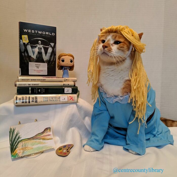 For 4 Years, Every Week, This Cat Becomes An Iconic Figure To Promote The Library (231 Pics)
