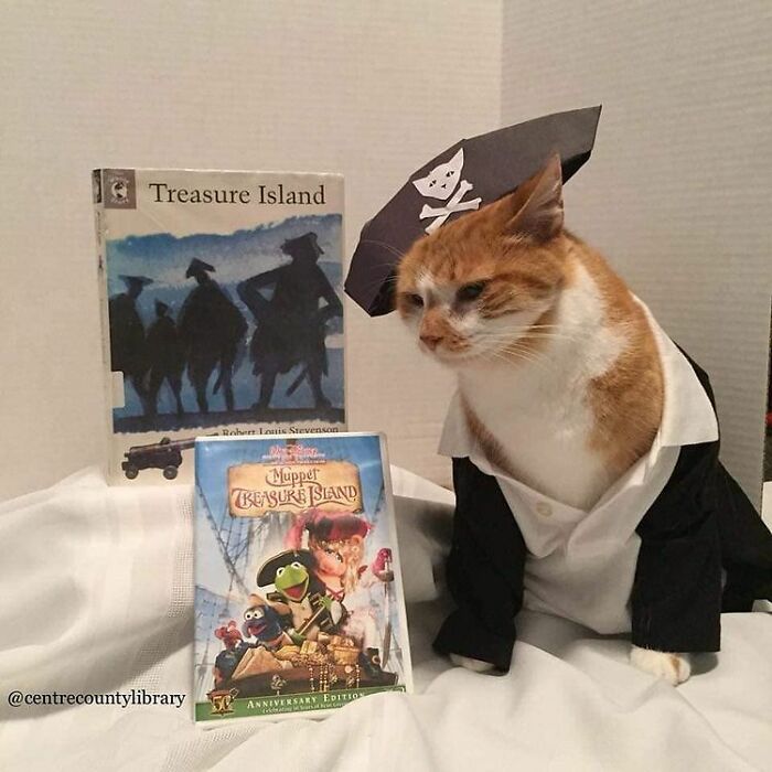 For 4 Years, Every Week, This Cat Becomes An Iconic Figure To Promote The Library (231 Pics)