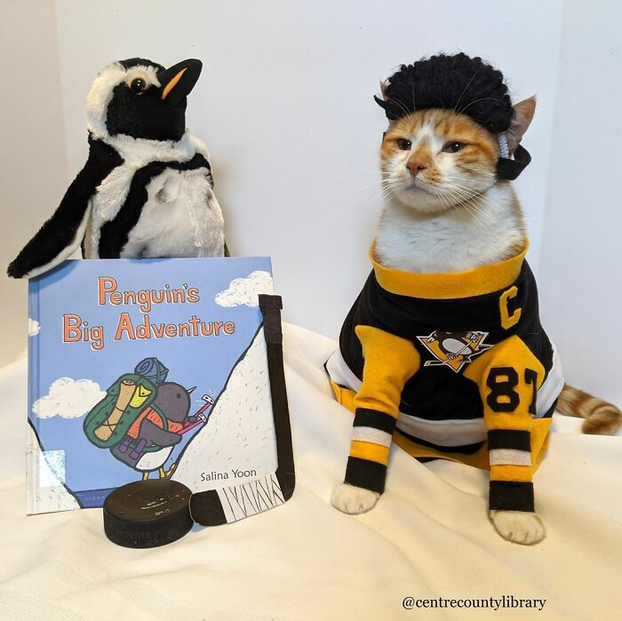 For 4 Years, Every Week, This Cat Becomes An Iconic Figure To Promote The Library (231 Pics)