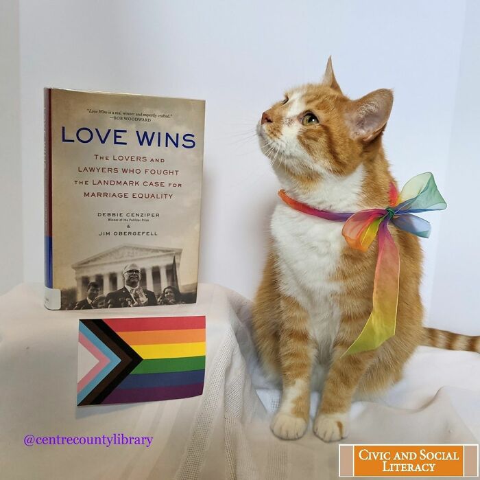 For 4 Years, Every Week, This Cat Becomes An Iconic Figure To Promote The Library (231 Pics)