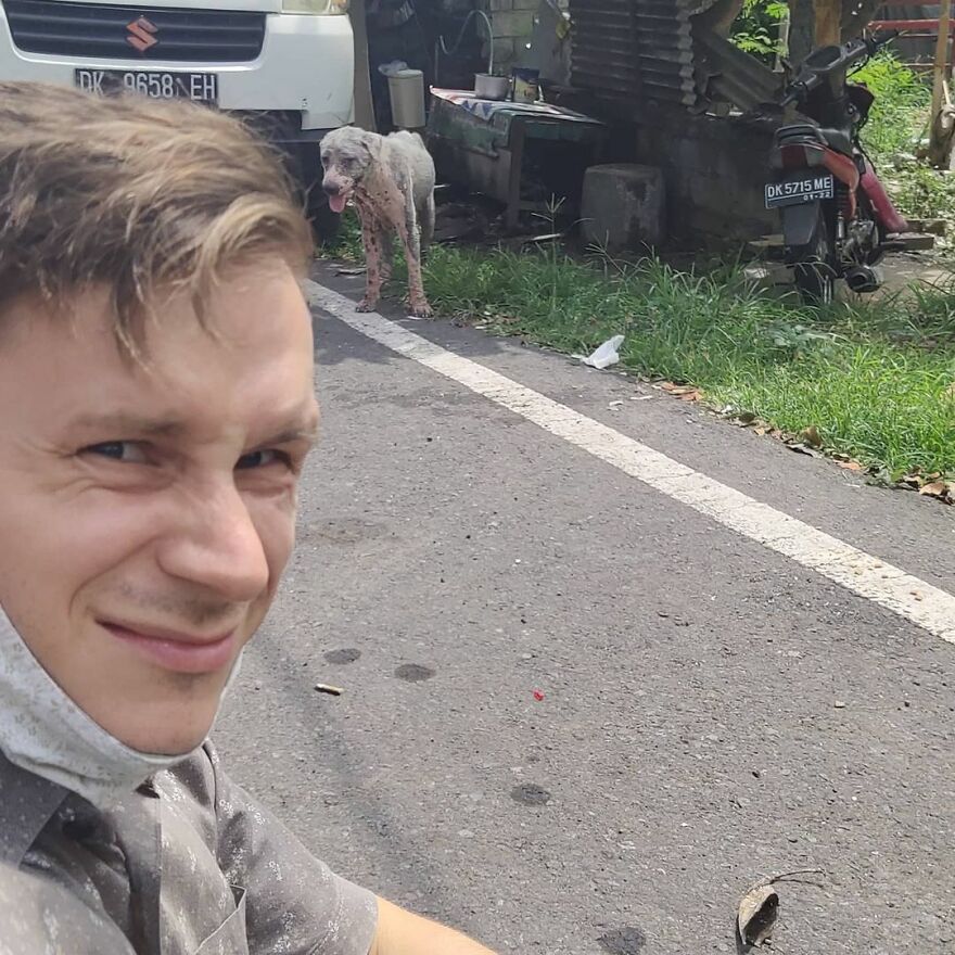 Hairless Dog Found By Gas Station Becomes A Fluffy, Lovable Giant