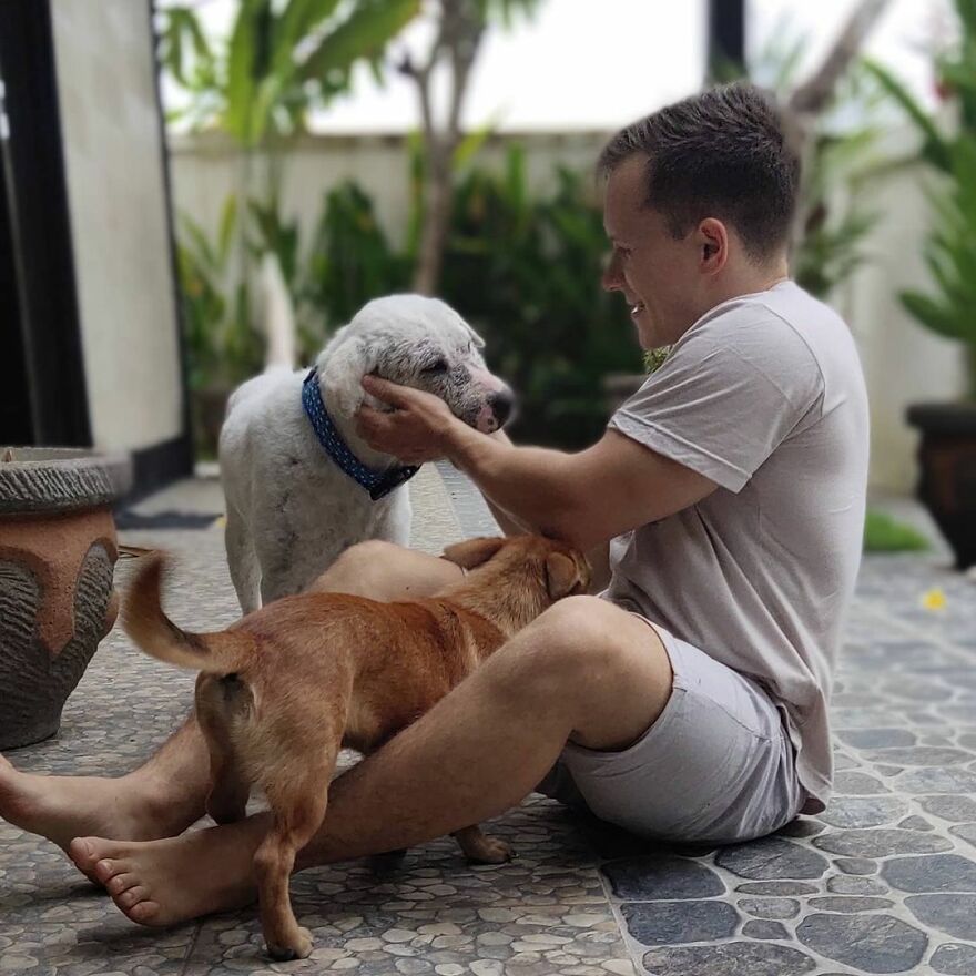 Hairless Dog Found By Gas Station Becomes A Fluffy, Lovable Giant