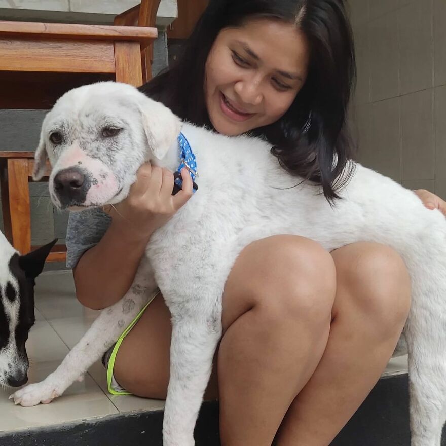 Hairless Dog Found By Gas Station Becomes A Fluffy, Lovable Giant
