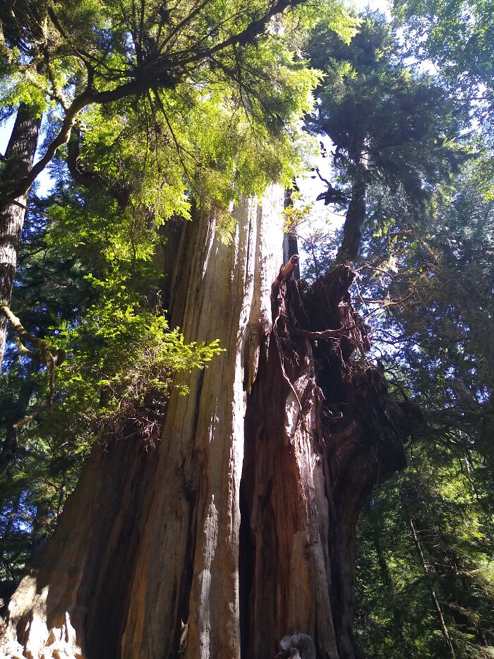 Olympic National Park, Washington