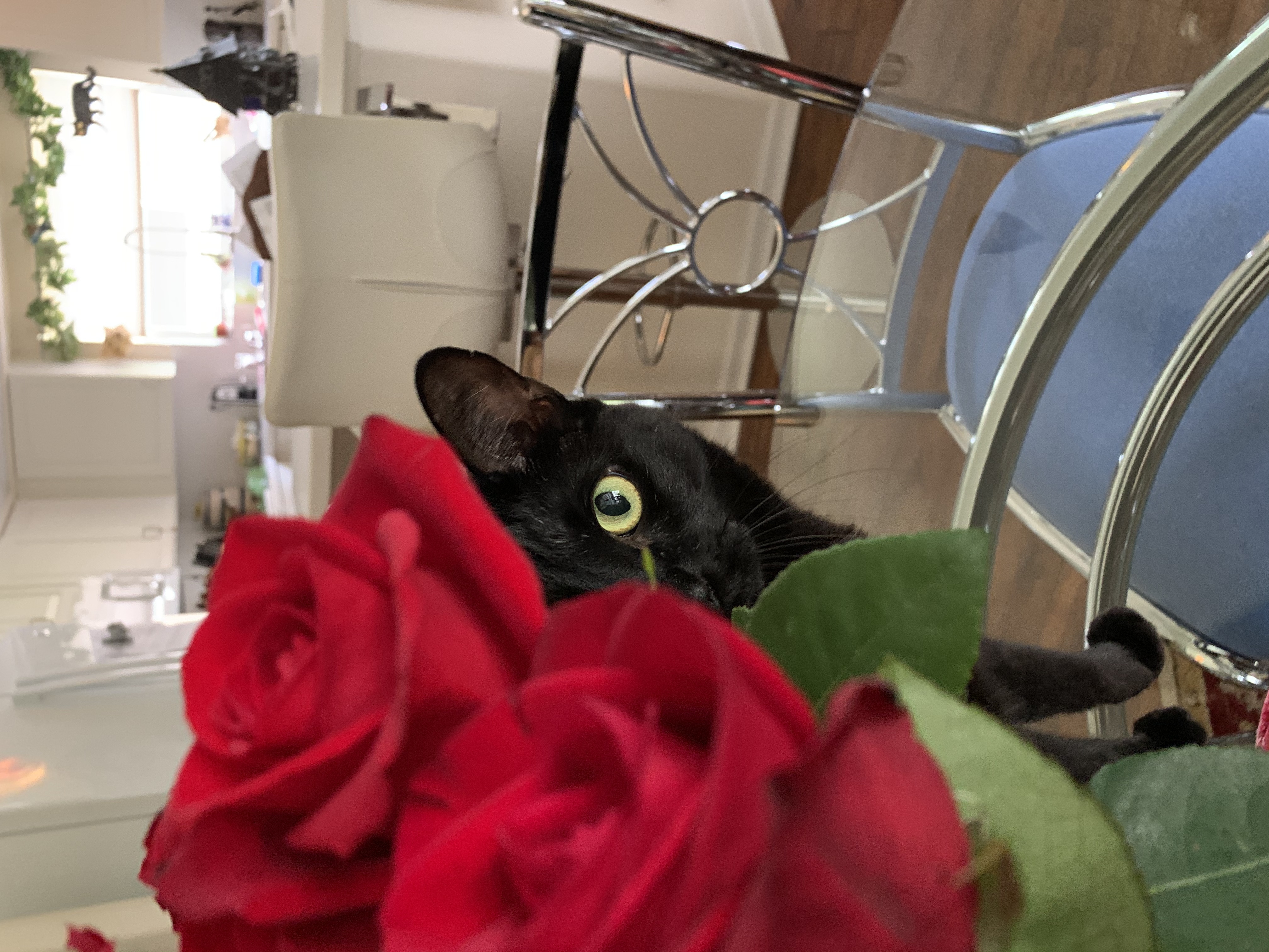 Hey Pandas, Show Me Your Cat Posing With Flowers.