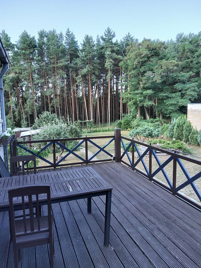 Nothing Too Crazy But I Like The View