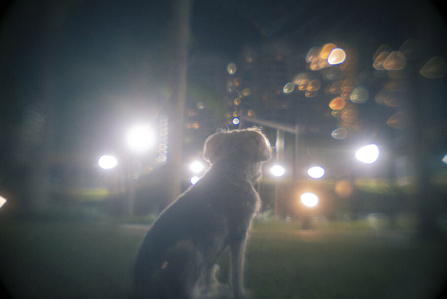 I 3D Printed A Camera Lens With Aperture During Lockdown I 3D Printed A Camera Lens With Aperture During Lockdown