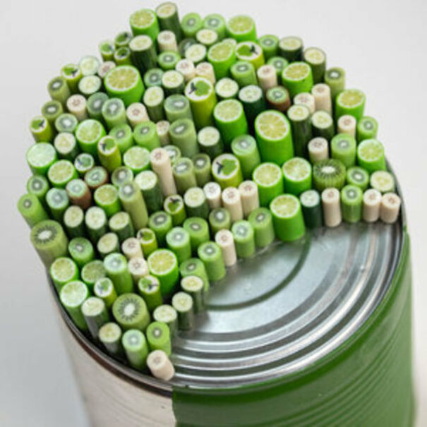 Stephanie Kilgast's Wonderful Creations From Trash To Art!