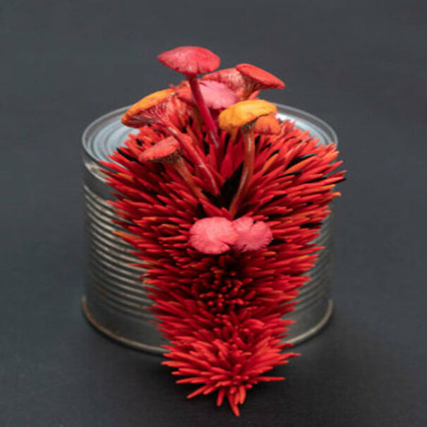 Stephanie Kilgast's Wonderful Creations From Trash To Art!